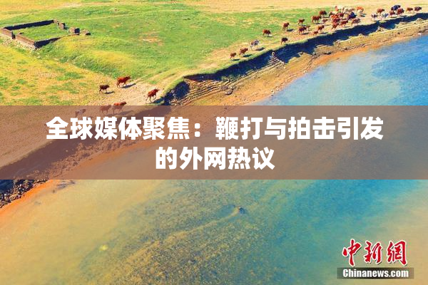 全球媒体聚焦：鞭打与拍击引发的外网热议