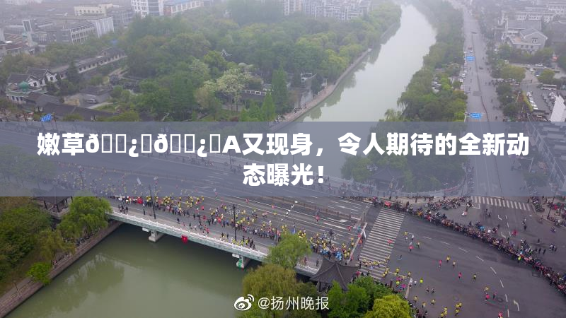 嫩草🌿‌🌿‌A又现身，令人期待的全新动态曝光！