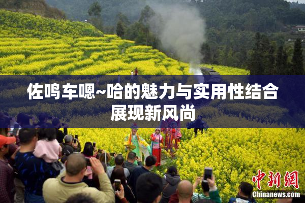 佐鸣车嗯~哈的魅力与实用性结合展现新风尚