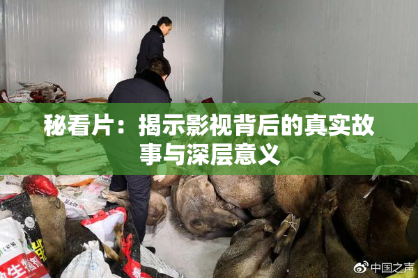 秘看片：揭示影视背后的真实故事与深层意义