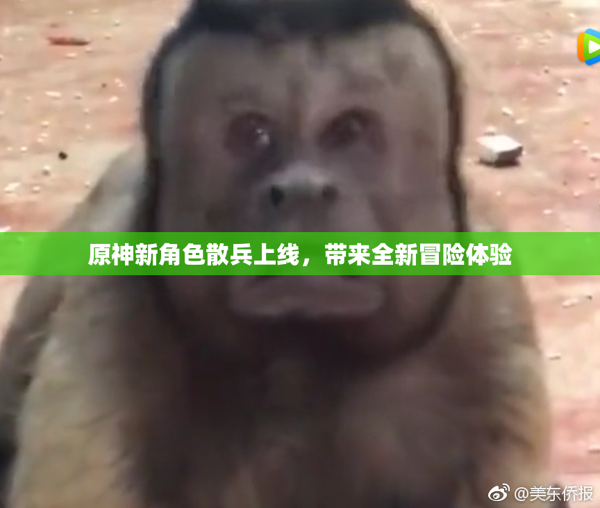 原神新角色散兵上线，带来全新冒险体验