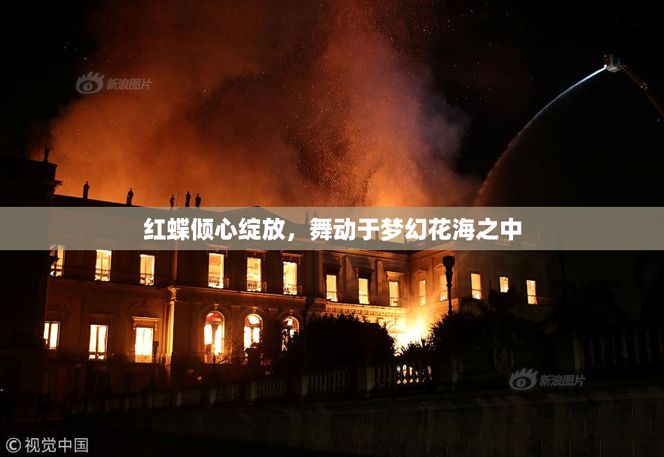 红蝶倾心绽放，舞动于梦幻花海之中