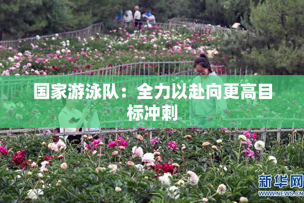 国家游泳队：全力以赴向更高目标冲刺
