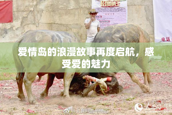 爱情岛的浪漫故事再度启航，感受爱的魅力