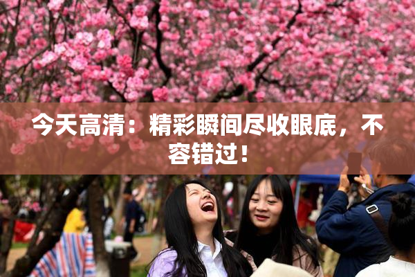 今天高清：精彩瞬间尽收眼底，不容错过！