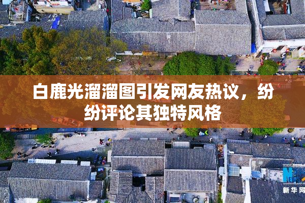 白鹿光溜溜图引发网友热议，纷纷评论其独特风格