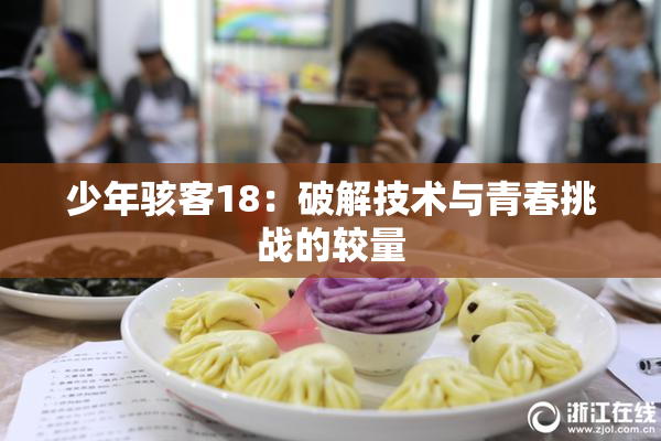 少年骇客18：破解技术与青春挑战的较量