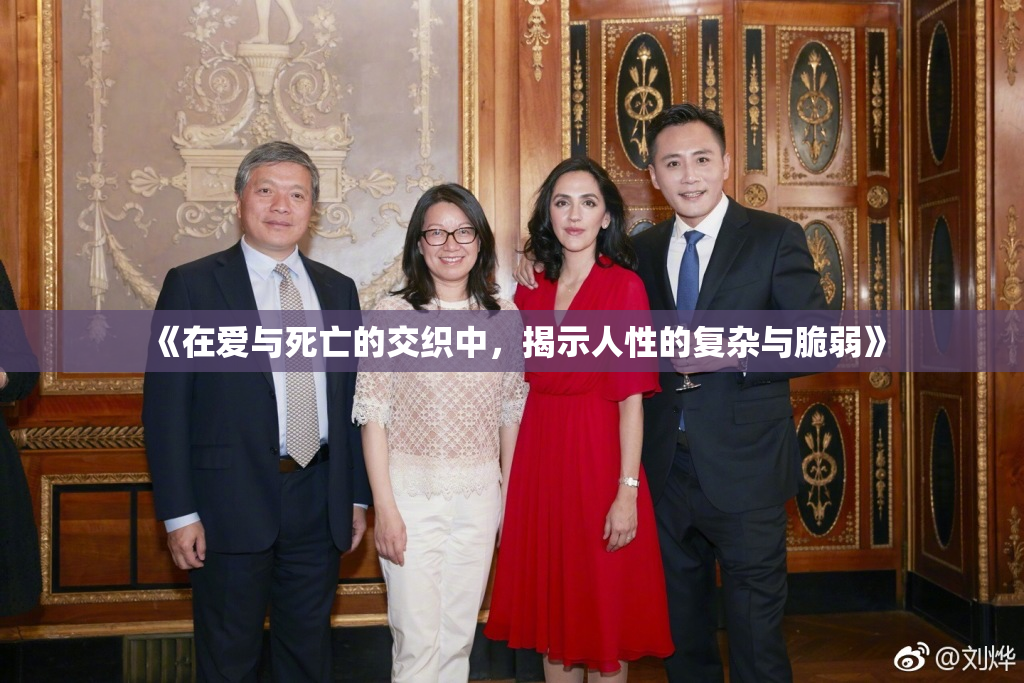 《在爱与死亡的交织中，揭示人性的复杂与脆弱》