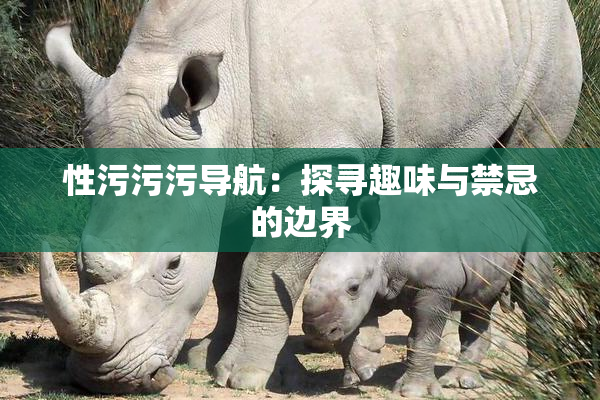 性污污污导航：探寻趣味与禁忌的边界