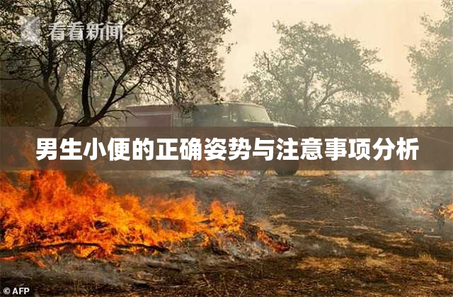 男生小便的正确姿势与注意事项分析