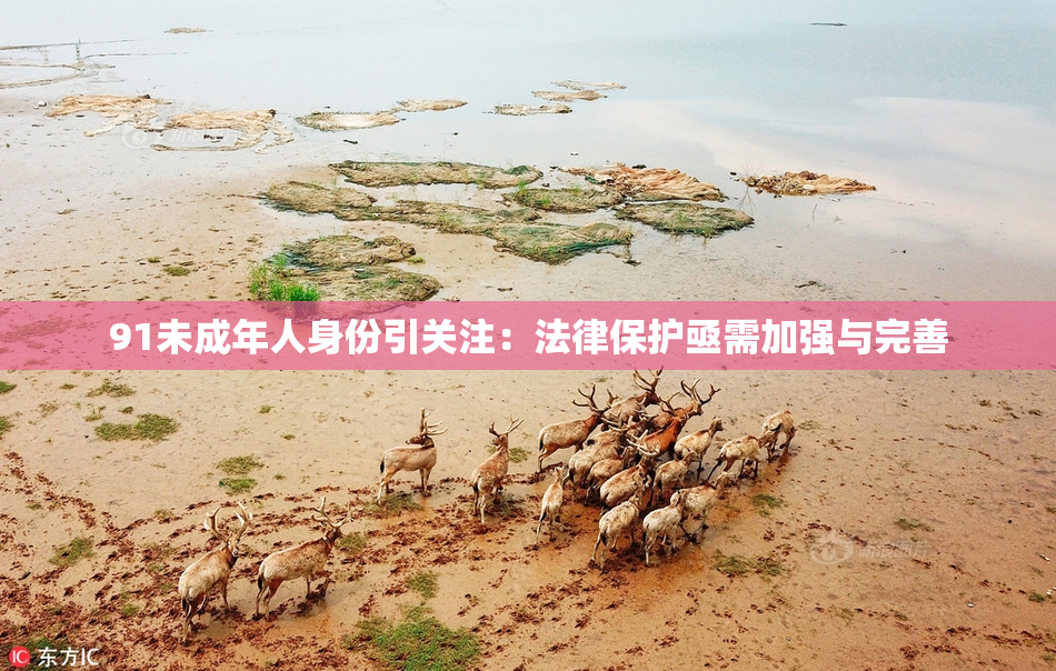 91未成年人身份引关注：法律保护亟需加强与完善