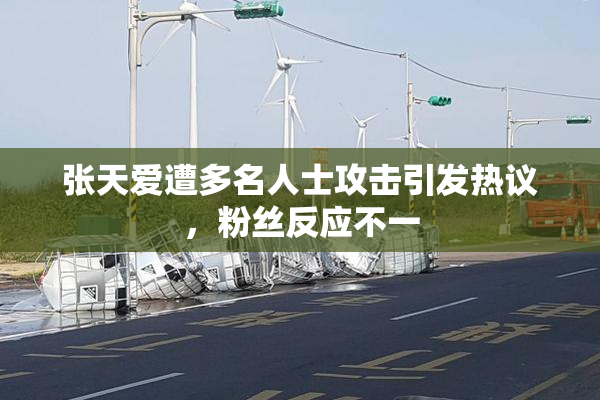 张天爱遭多名人士攻击引发热议，粉丝反应不一
