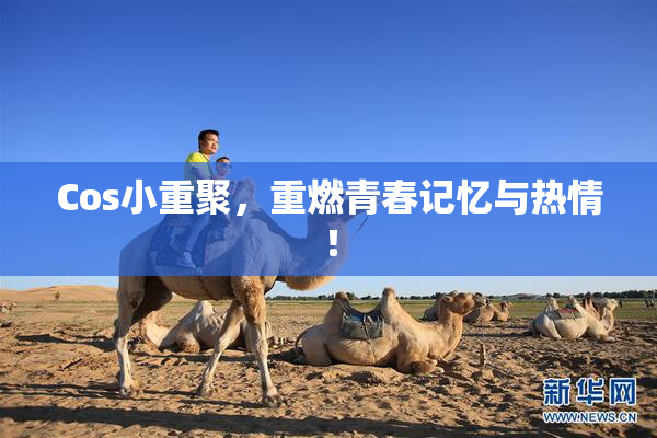 Cos小重聚，重燃青春记忆与热情！