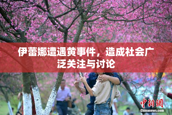 伊蕾娜遭遇黄事件，造成社会广泛关注与讨论