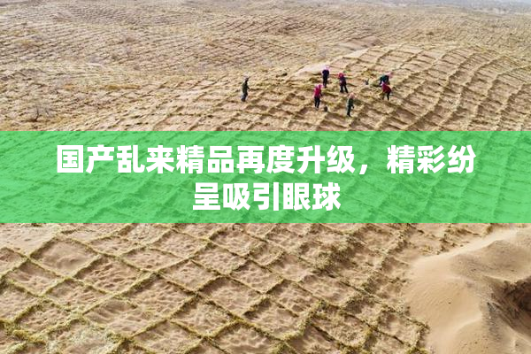 国产乱来精品再度升级，精彩纷呈吸引眼球