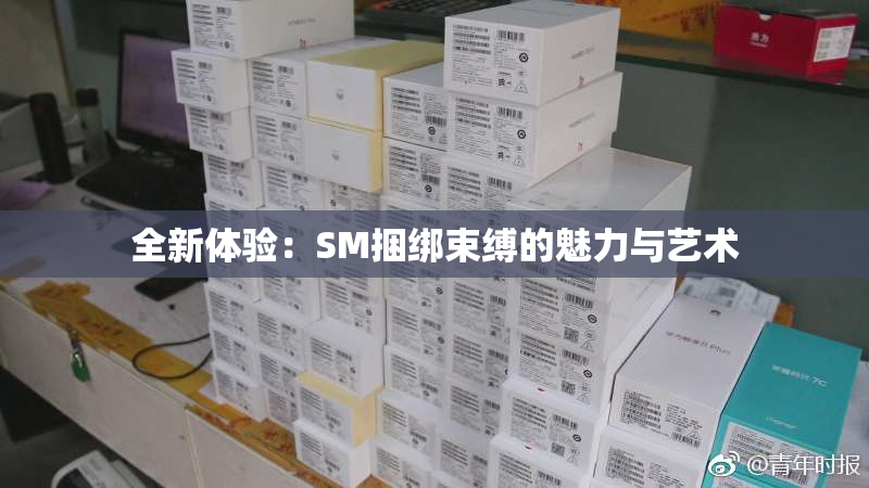 全新体验：SM捆绑束缚的魅力与艺术