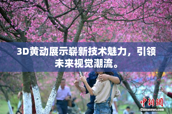 3D黄动展示崭新技术魅力，引领未来视觉潮流。