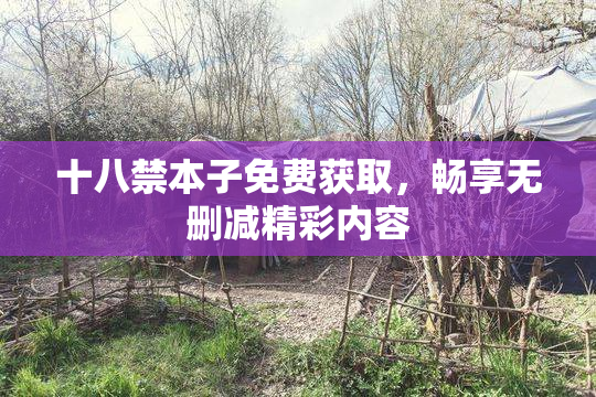 十八禁本子免费获取，畅享无删减精彩内容
