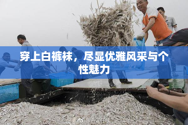 穿上白裤袜，尽显优雅风采与个性魅力