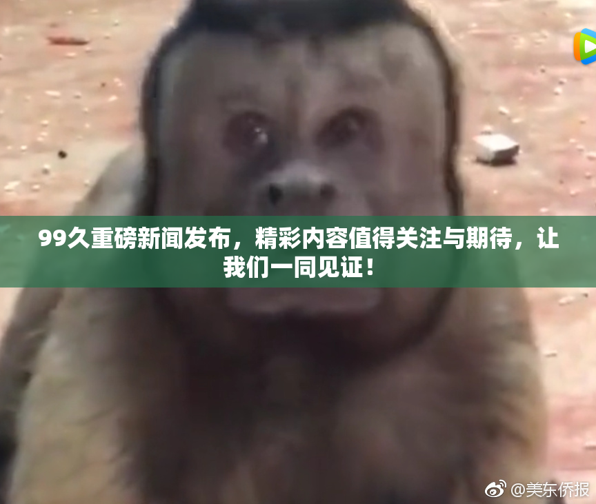 99久重磅新闻发布，精彩内容值得关注与期待，让我们一同见证！