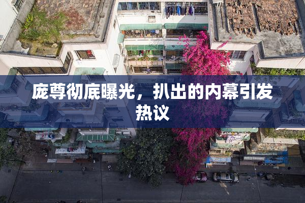 庞尊彻底曝光，扒出的内幕引发热议