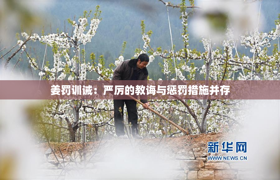 姜罚训诫：严厉的教诲与惩罚措施并存