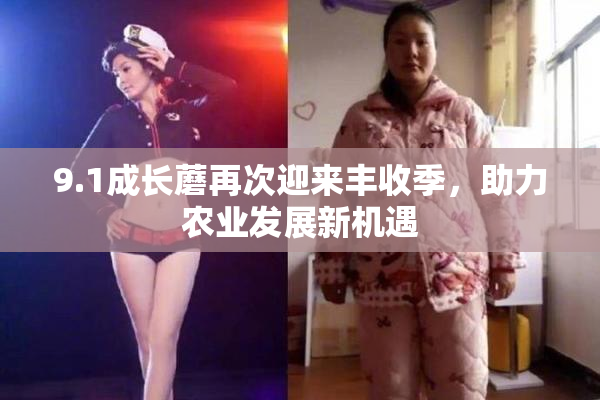 9.1成长蘑再次迎来丰收季，助力农业发展新机遇