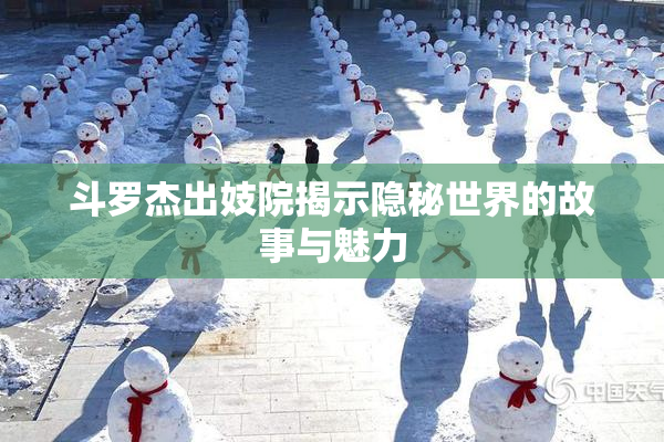 斗罗杰出妓院揭示隐秘世界的故事与魅力