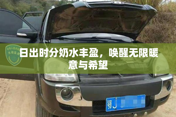 日出时分奶水丰盈，唤醒无限暖意与希望