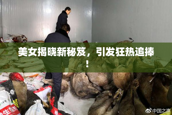 美女揭晓新秘笈，引发狂热追捧！