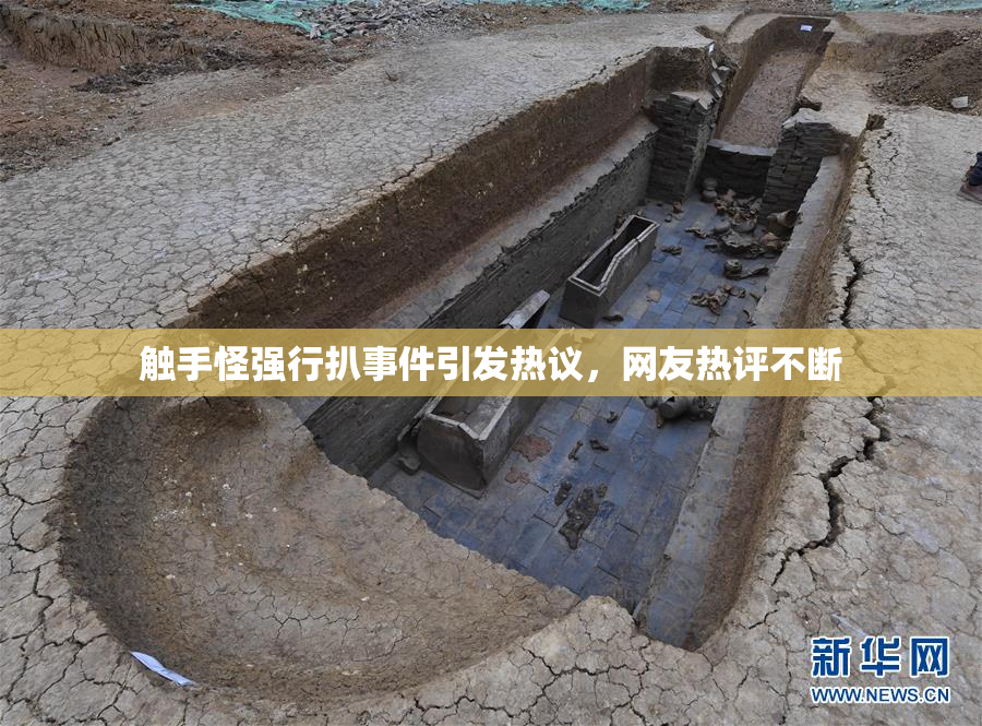 触手怪强行扒事件引发热议，网友热评不断