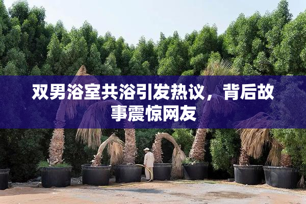 双男浴室共浴引发热议，背后故事震惊网友