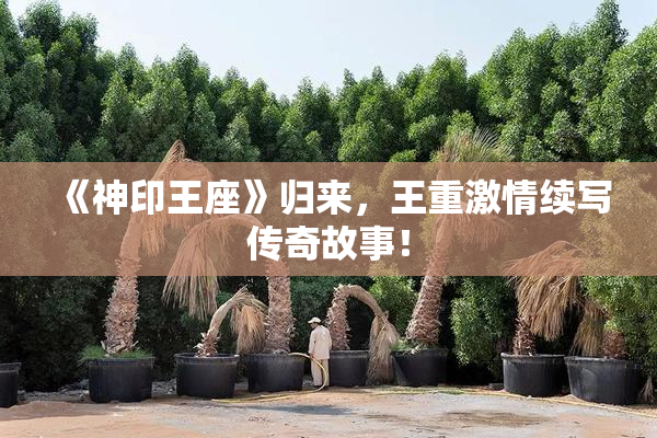 《神印王座》归来，王重激情续写传奇故事！