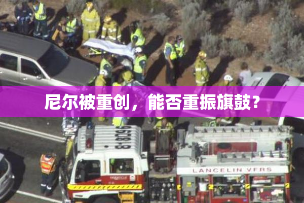 尼尔被重创，能否重振旗鼓？