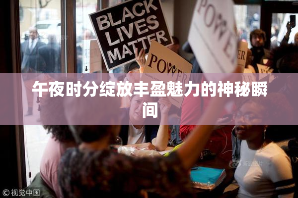 午夜时分绽放丰盈魅力的神秘瞬间