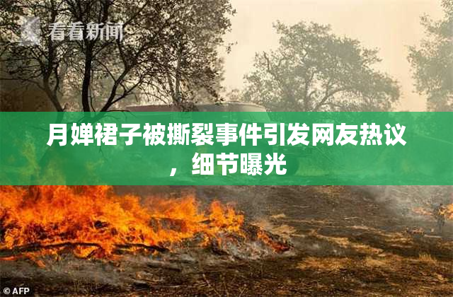 月婵裙子被撕裂事件引发网友热议，细节曝光
