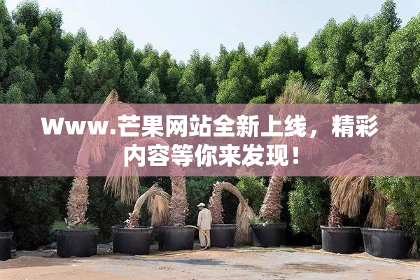 Www.芒果网站全新上线，精彩内容等你来发现！