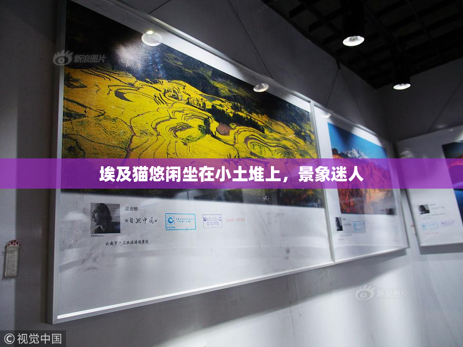 埃及猫悠闲坐在小土堆上，景象迷人