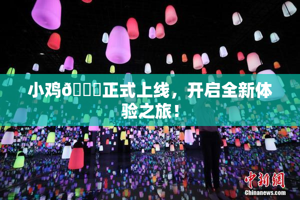 小鸡🐔正式上线，开启全新体验之旅！
