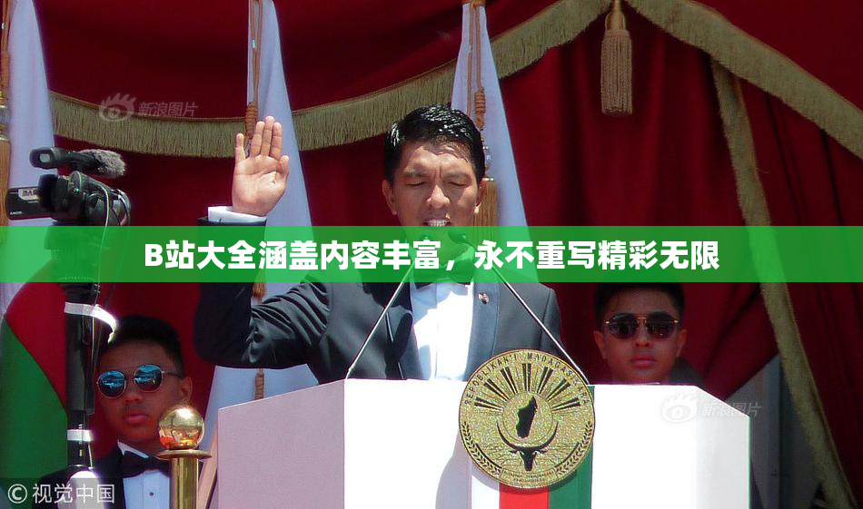 B站大全涵盖内容丰富，永不重写精彩无限