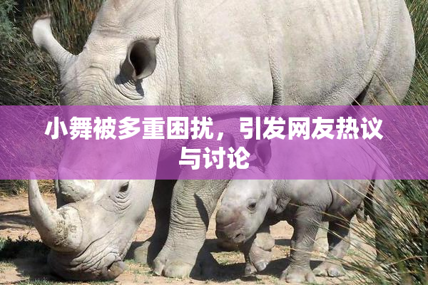 小舞被多重困扰，引发网友热议与讨论
