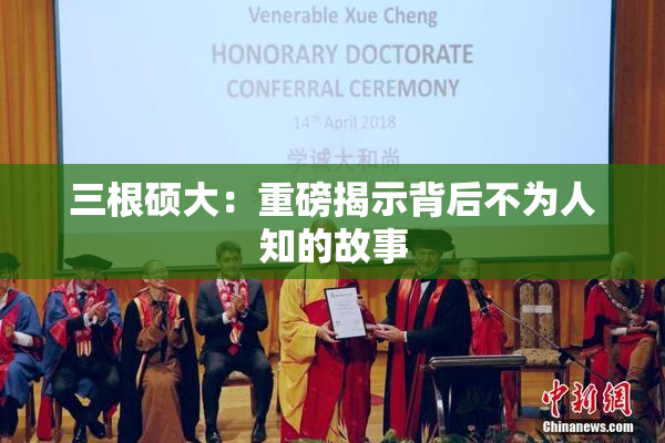 三根硕大：重磅揭示背后不为人知的故事