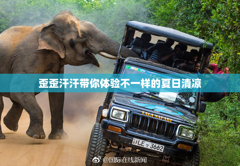 歪歪汗汗带你体验不一样的夏日清凉