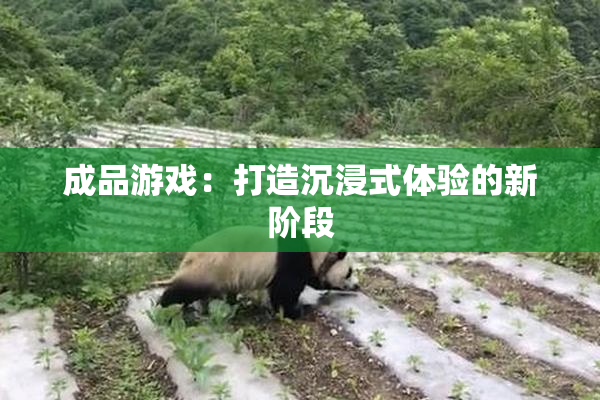 成品游戏：打造沉浸式体验的新阶段