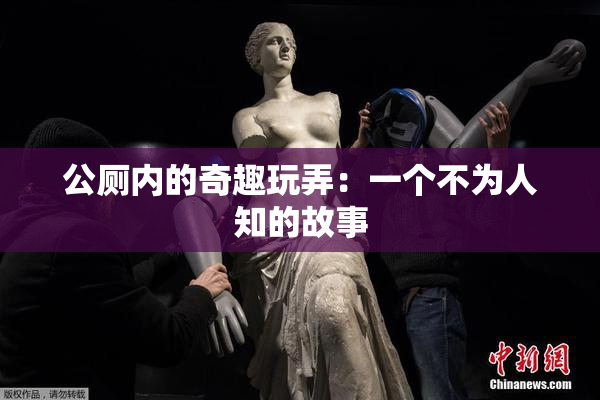 公厕内的奇趣玩弄：一个不为人知的故事