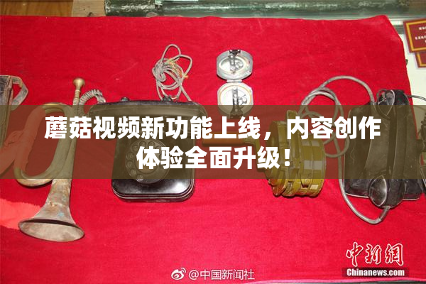 蘑菇视频新功能上线，内容创作体验全面升级！