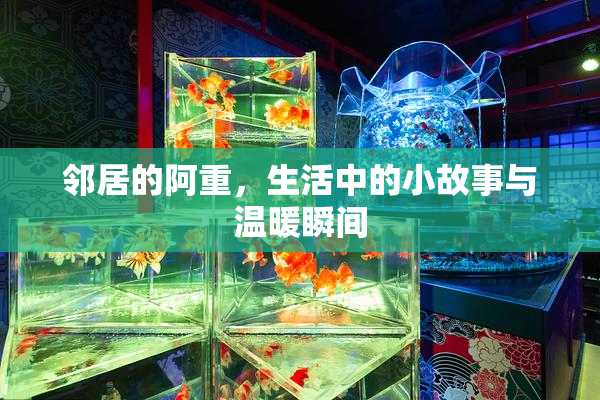 邻居的阿重，生活中的小故事与温暖瞬间