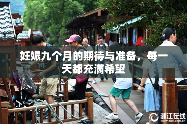妊娠九个月的期待与准备，每一天都充满希望