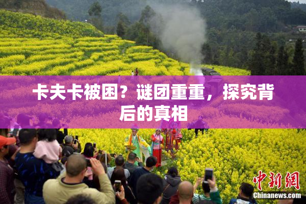 卡夫卡被困？谜团重重，探究背后的真相