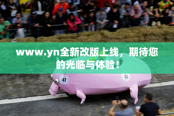 www.yn全新改版上线，期待您的光临与体验！